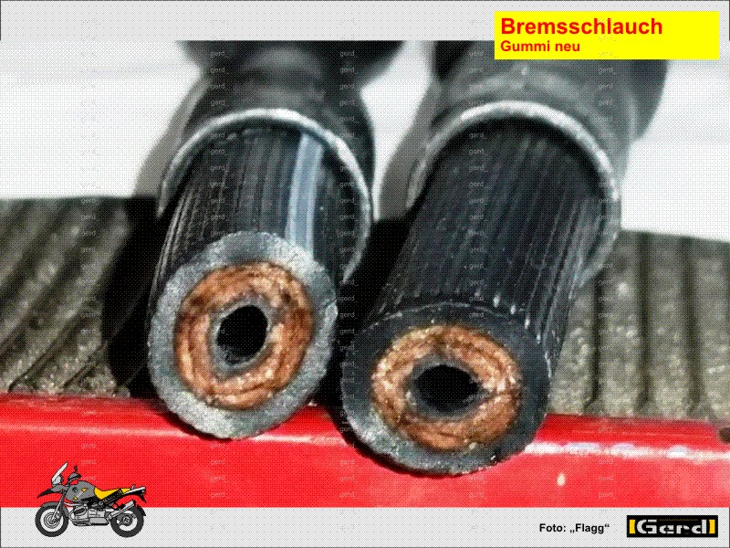 Bremsanlage Schlauchleitung für Citroen Bremsschlauch u.a Preishammer 