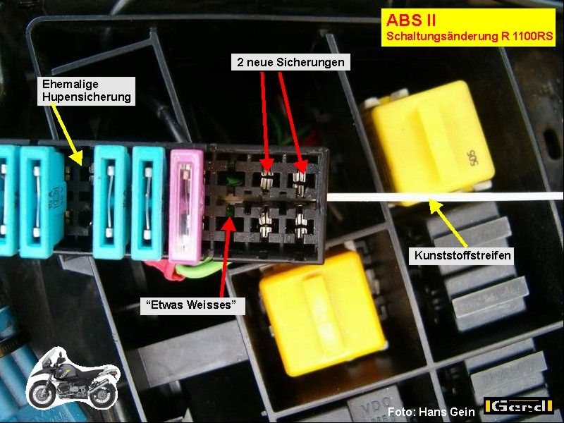 absII-um-RS03t.JPG