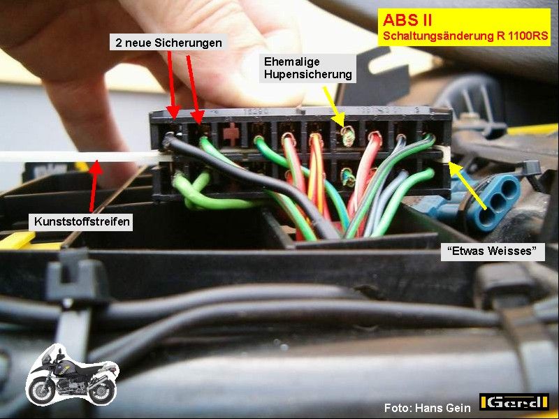 absII-um-RS04t.JPG