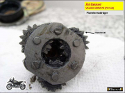 An40t.JPG