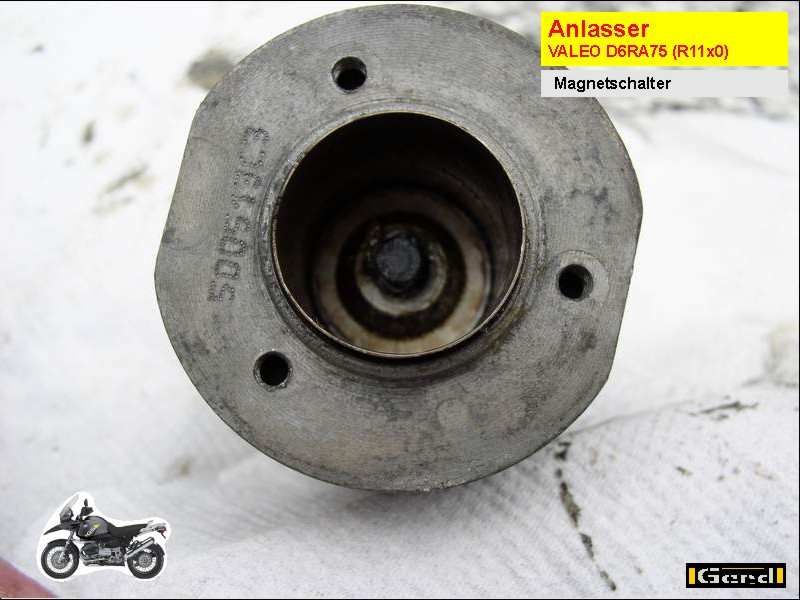 An45t.JPG