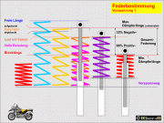 Feder01