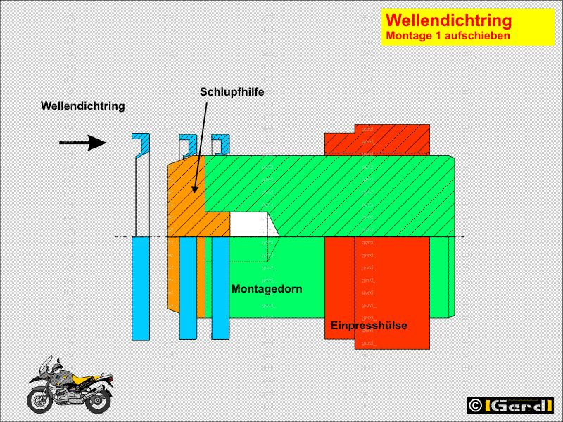 wedi02