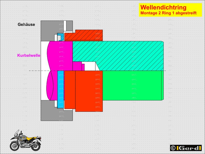 WeDi03.gif