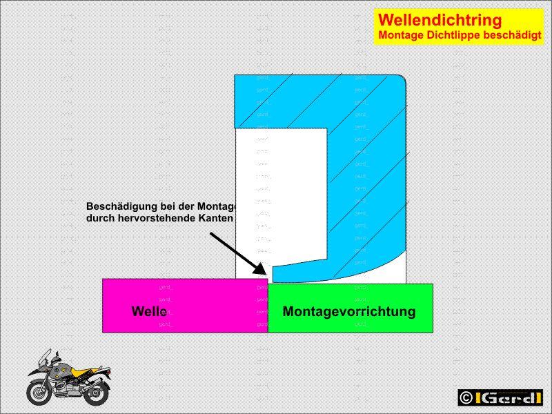 wedi05