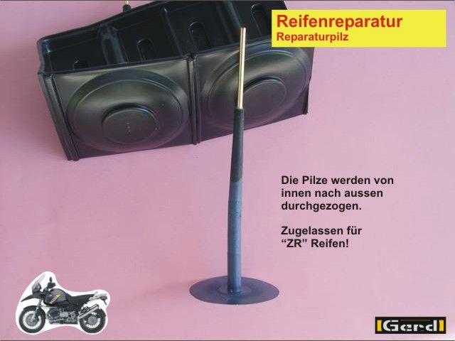 RepPilz02t