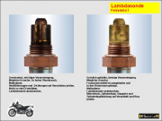 L-Son10